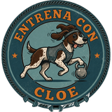 Cloe Coach
